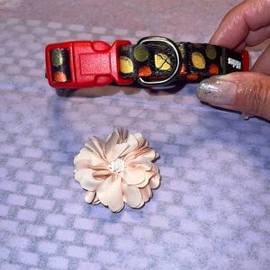 New adjustable dog collar with attachable peach flower